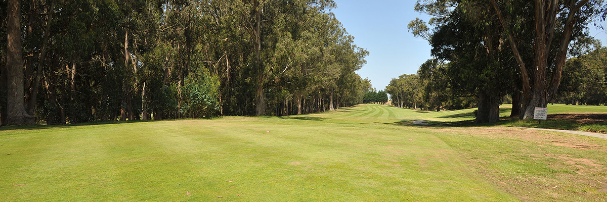 marshallia-ranch-golf-course
